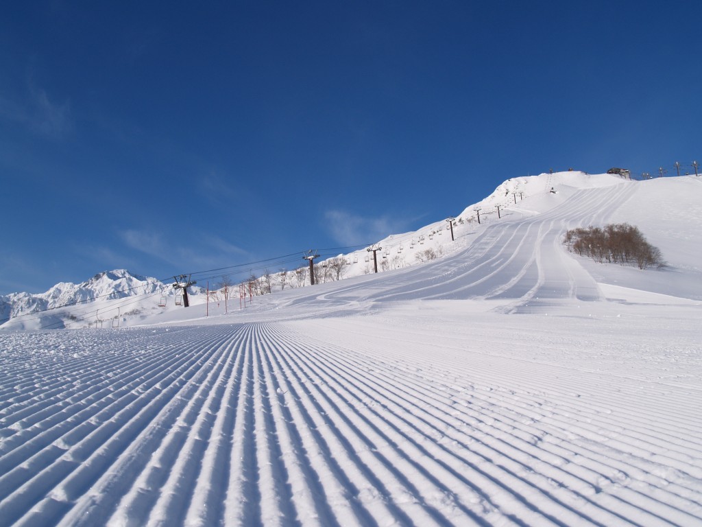 HAKUBA VALLEY Hakuba47ウィンタースポーツパーク（長野県）｜スキー場