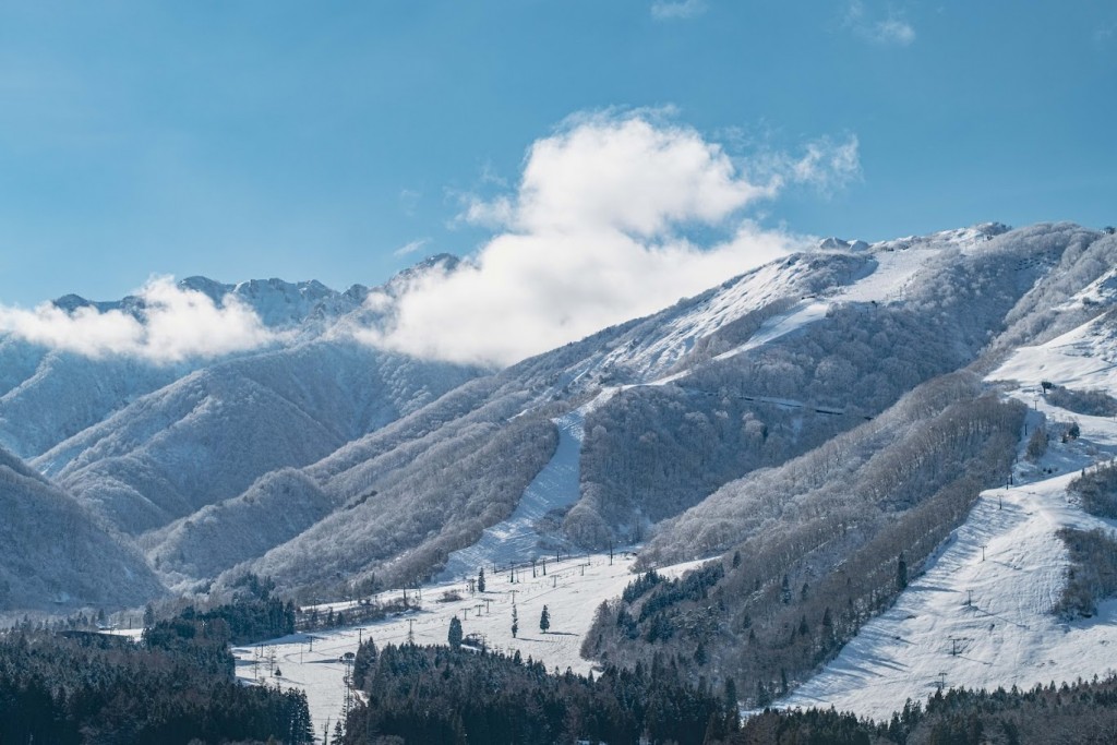 HAKUBA VALLEY Hakuba47ウィンタースポーツパーク（長野県）｜スキー場
