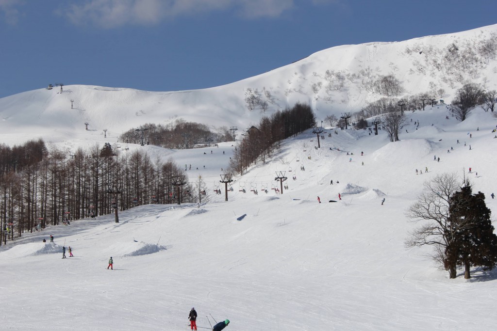 ハチ高原（兵庫県）｜スキー場情報 | Yukiyama Web