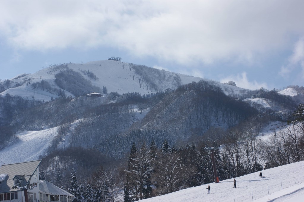 ハチ北高原（兵庫県）｜スキー場情報 | Yukiyama Web
