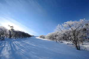 だいせんホワイトリゾート（鳥取県）｜スキー場情報 | Yukiyama Web