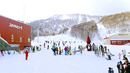 札幌国際