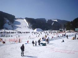 SOL-FA ODA SKI GERANDE（愛媛県）｜スキー場情報 | Yukiyama Web
