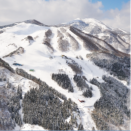 ハチ北高原（兵庫県）｜スキー場情報 | Yukiyama Web